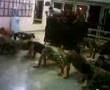 videos de ELDYK 287