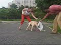 Passeio com Caramelo