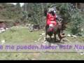 videos de Feliz Navidad :::camino a belen::