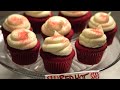 RT @sarahockler: Bittersweet book trailer! http://t.co/3vimUbGZ