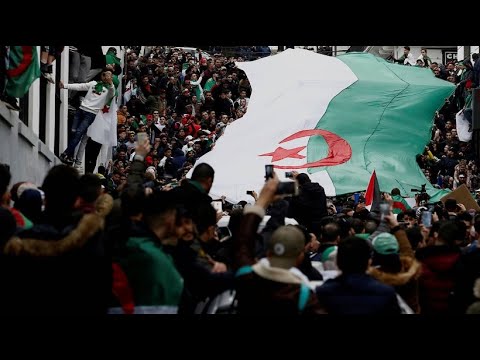 Algerien: Massenproteste gegen Prsident Bouteflika