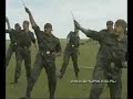 boevoe_bratstvo