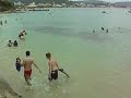 Tashiro mergulhando na Praia da Lagoinha, Bombinhas-SC