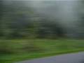 Palenie gumy Cbr Video by kalej...zdumienie rowerzysty