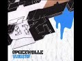 Opgezwolle - de tijd leert