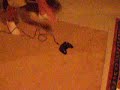 Smashing XBOX Controller