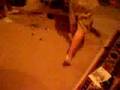 Smashing XBOX Controller