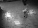 caguameros perra en crissis caguameros perra en crissis