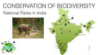 Conservation of Biodiversity