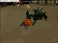 My first Kalphite Queen trip/w Guide My first Kalphite Queen trip/w Guide