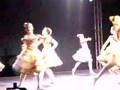 DANÇA ALEGRE ALEGRETE 2008