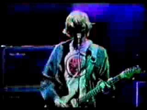 Video de In the Mind of the Bourgeois Reader de Sonic Youth