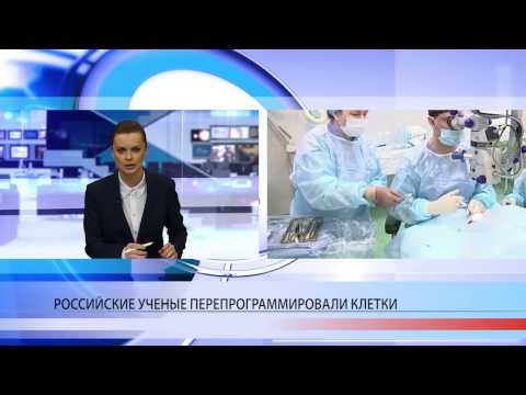 Российским ученым удалось вырастить сетчатку глаза из перепрограммированных клеток кожи