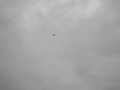C-160 MAIDEN FLIGHT!