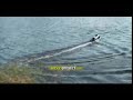 RC Jetski Boat RC Jetski Boat