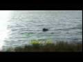 RC Jetski Boat