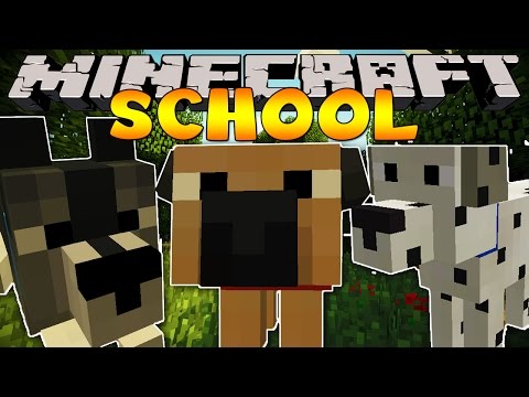 pet - Minecraft School - Dog Mod Minecraft School Playlist : http://bit.ly/MinecraftSchool {Subscribe : http://bit.ly/LittleLizardGaming } We're back in school wit...