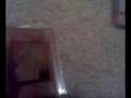 Trade for Judgement Dragon and more