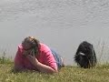 Border Collies - Goose Patrol