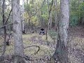 Crazy wheelies and jumps