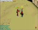 ZARDS41'S SECOND DULEING VID(P2P)