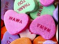 AMR DIAB-Qusad-Einy AMR DIAB-Qusad-Einy