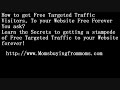 How To Get A Stampede Of  Free Targeted Traffic Visitors