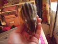 Twix mon écureuil Twix mon écureuil