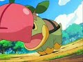 Turtwig is Numb