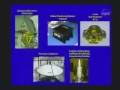 Ocean Surface Topography Mission