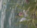 Bruns versucht nen R�ckw�rtssaltoo