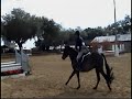 Alaska (Pony For Sale) Alaska (Pony For Sale)