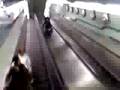 re escalator mdr