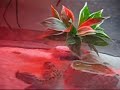 Jumping Leopard Gecko