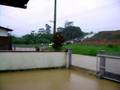 videos de Alagamento Jaraguá do Sul - SC