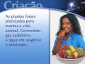 PLANEJAMENTO INTELIGENTE NA CRIA��O