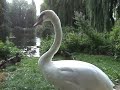 WiLDLiFE FiLES AuGUSt 21st 2008