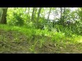 Gaui Quadcopter with GoPro HD Hero2 (120fps)