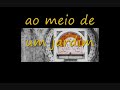 Grupo Partido Alto - Querubim!