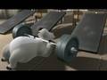 videos de Bernard The Gym
