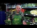 Produce Pete - Escarole Chicory - Italian American Network Produce Pete - Escarole Chicory - Italian American Network