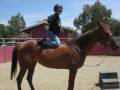 A Bareback Contest !