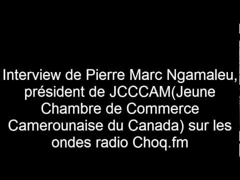 jcccam - Le Président de la jeune Chambre de commerce camerounaise du Canada était l'invité le vendredi 23 novembre de l'émission d'actualité africaine. Pour plus d'i...
