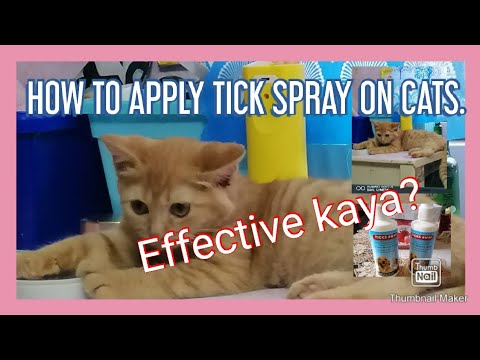 HOW TO USE TICKS AND FLEAS SPRAY FOR CATS 2021? EFFECTIVE KAYA?