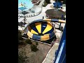 Ricky's cool toilet bowl ride