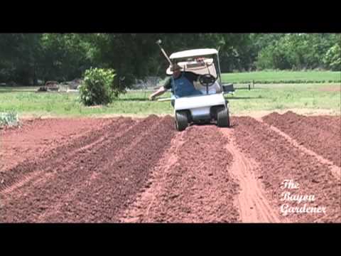 how to fertilize purple hull peas