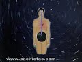 Mantak Chia DVD  Wisdom Chi Kung Clip 1