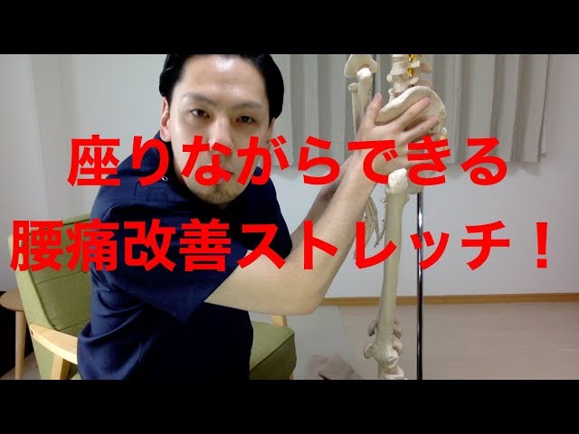 【高槻 腰痛】座りながらできる腰痛改善ストレッチ！