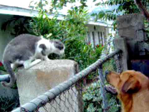 simmypoo2004 - 