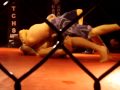 joey fight 6 vs buda